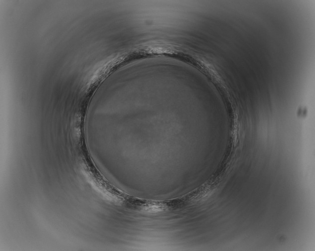 X0000114610402200911101156