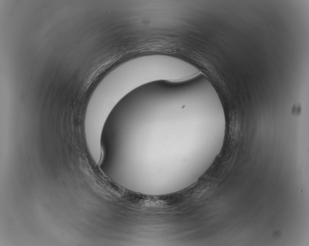 X0000114610403200911101156