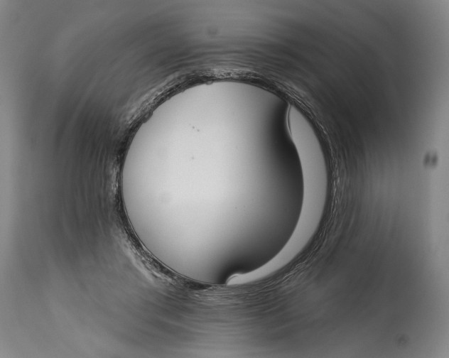 X0000114610405200911101156