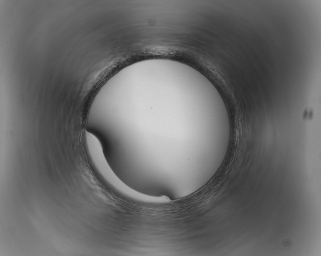 X0000114610407200911101156