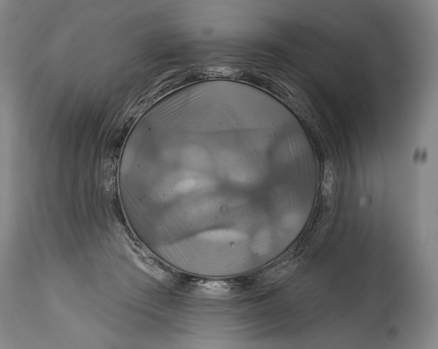 X0000114610409200911101156