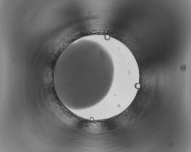 X0000114610411200911101156