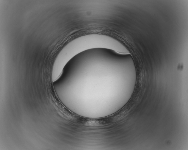 X0000114610413200911101156