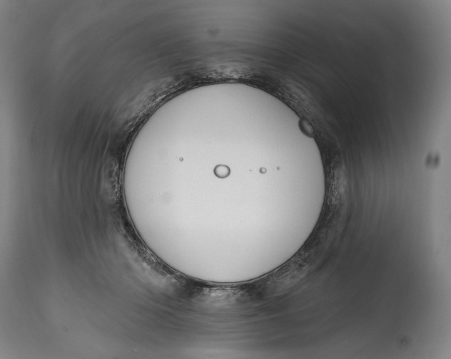 X0000114610414200911101156