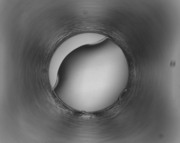 X0000114610415200911101156