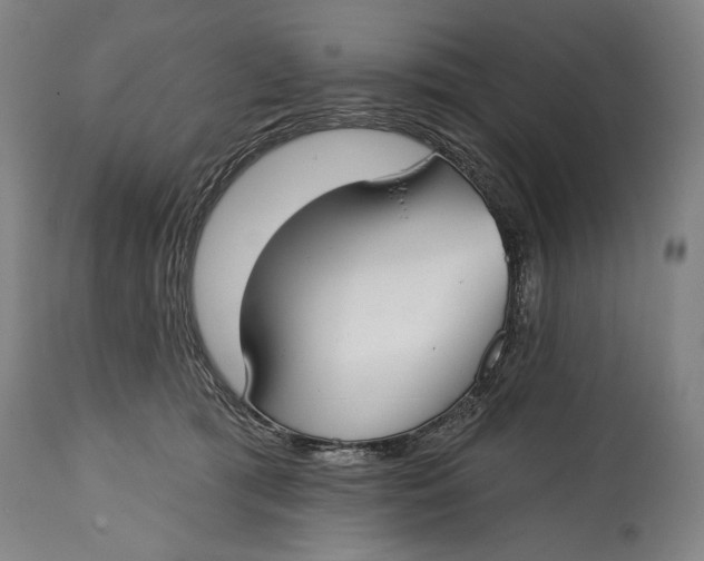 X0000114610417200911101156