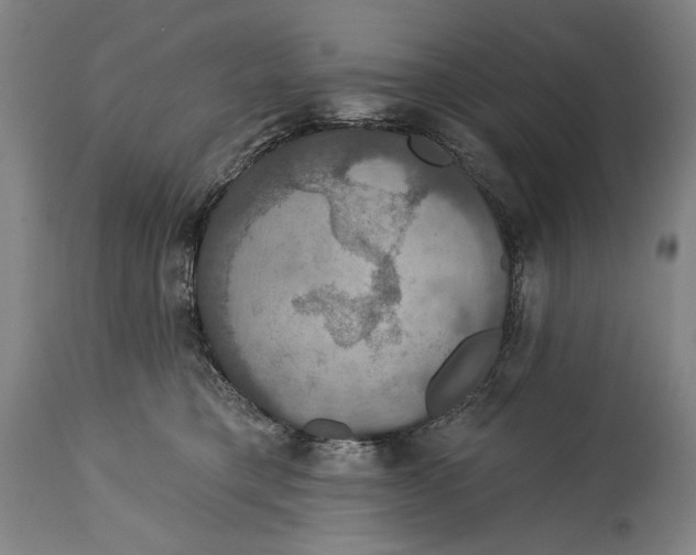 X0000114610421200911101156