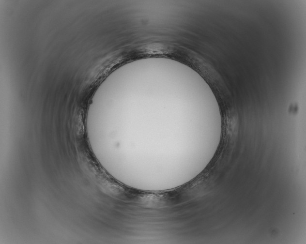 X0000114610422200911101156