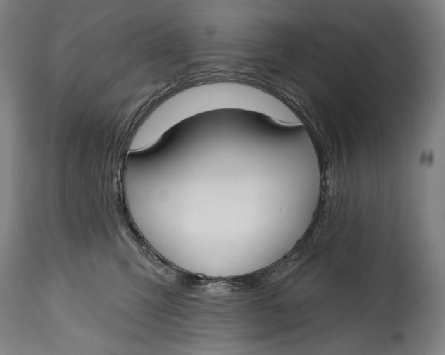 X0000114610423200911101156