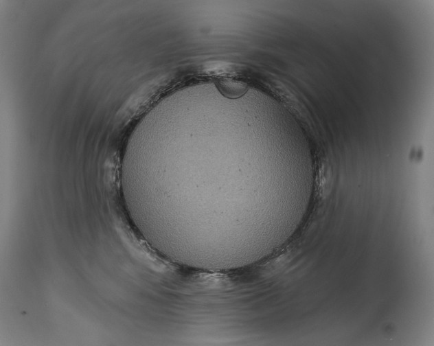 X0000114610424200911101156