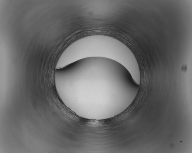 X0000114610425200911101156