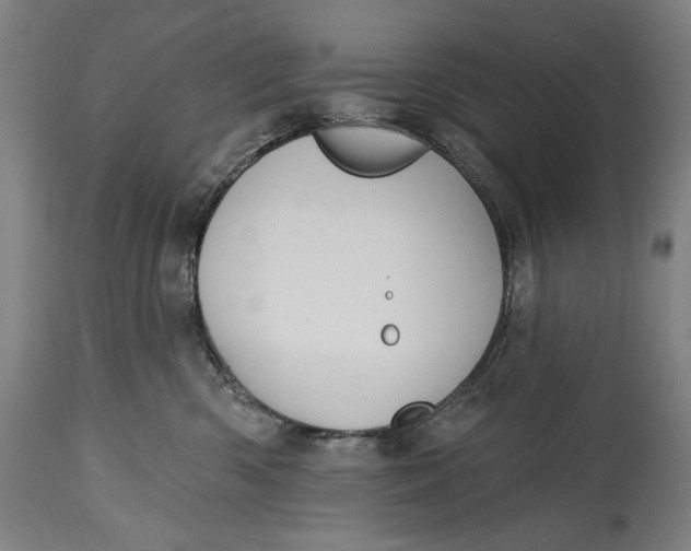 X0000114610426200911101156