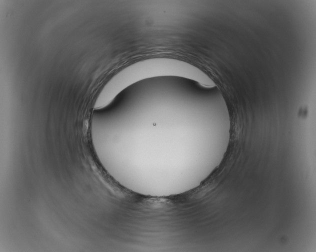 X0000114610427200911101156