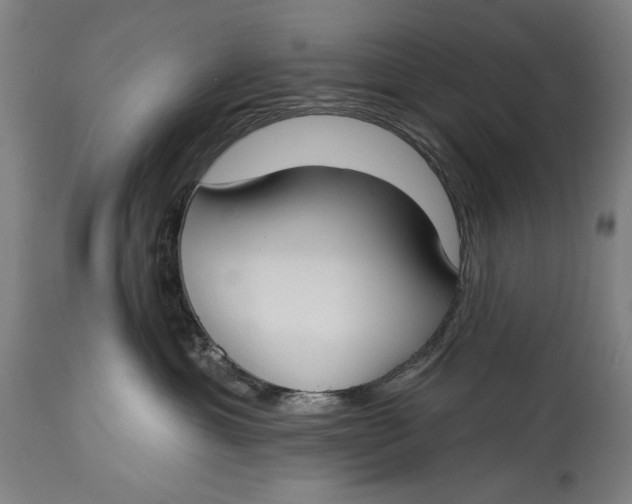 X0000114610429200911101156