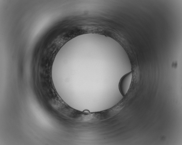 X0000114610430200911101156