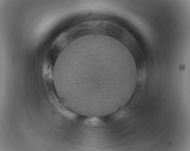 X0000114610431200911101156