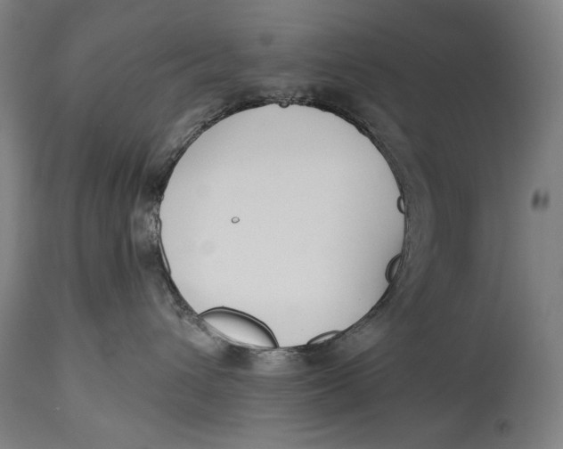 X0000114610432200911101156