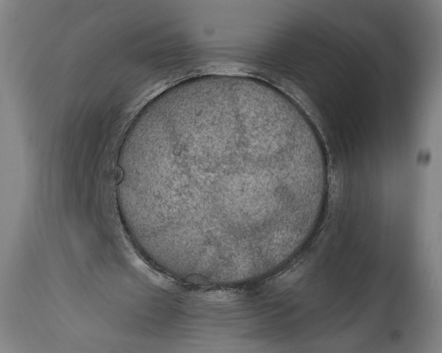 X0000114610433200911101155