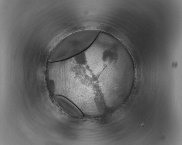 X0000114610434200911101155