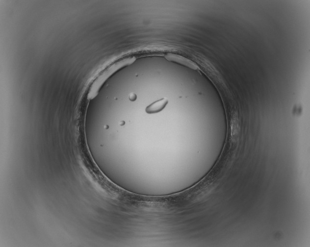 X0000114610436200911101155