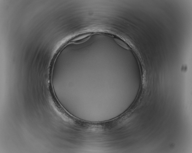 X0000114610438200911101155