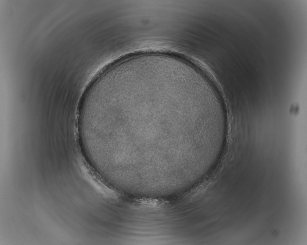 X0000114610439200911101155