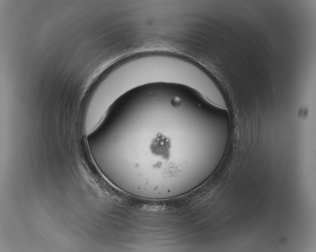 X0000114610440200911101155