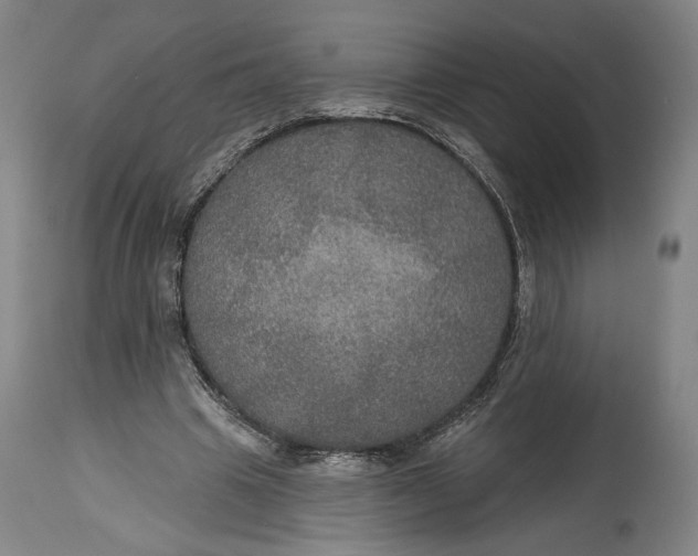 X0000114610441200911101155