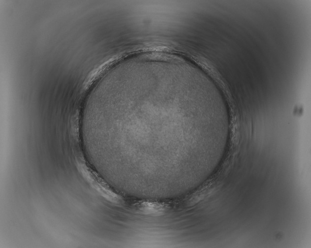 X0000114610442200911101155