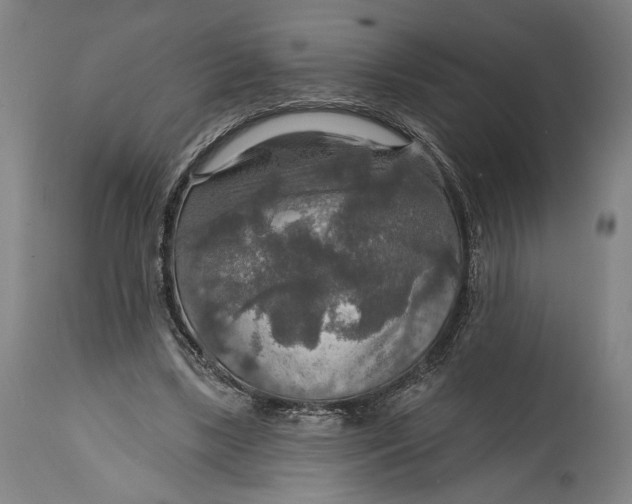 X0000114610443200911101155