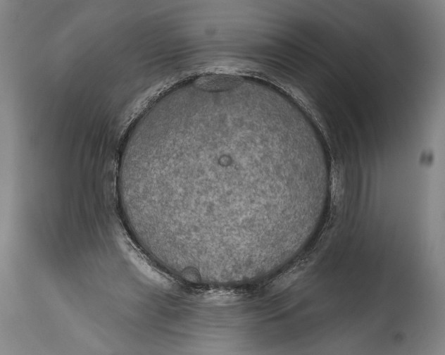 X0000114610445200911101155