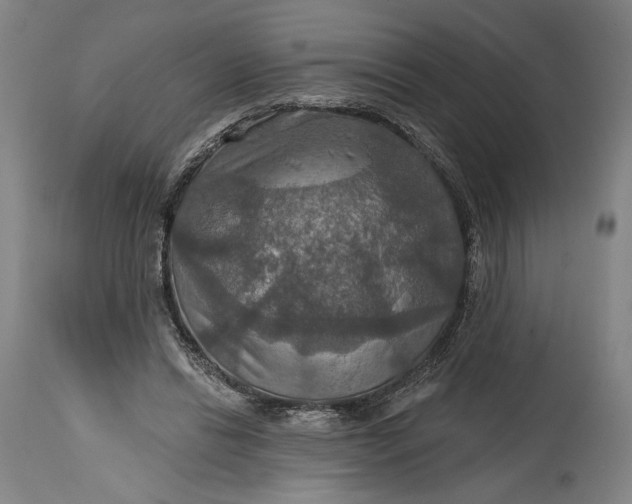 X0000114610446200911101155