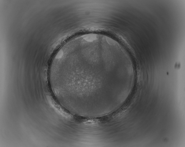 X0000114610447200911101155