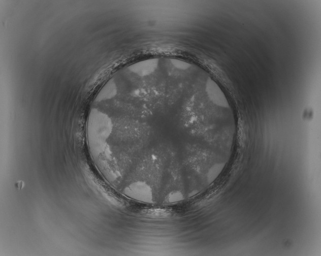 X0000114610449200911101155