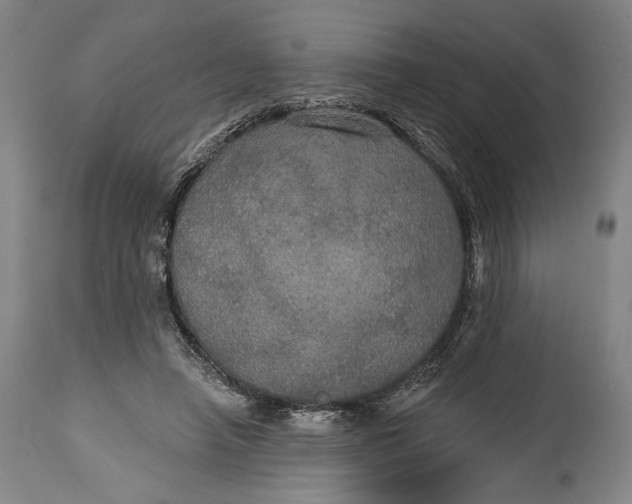 X0000114610450200911101155