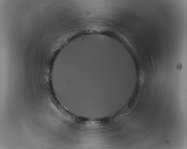 X0000114610451200911101155