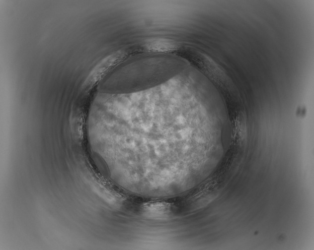 X0000114610452200911101155