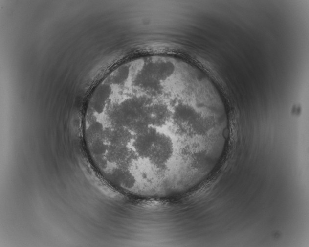 X0000114610453200911101155