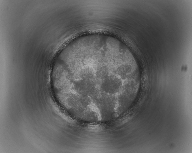 X0000114610454200911101155