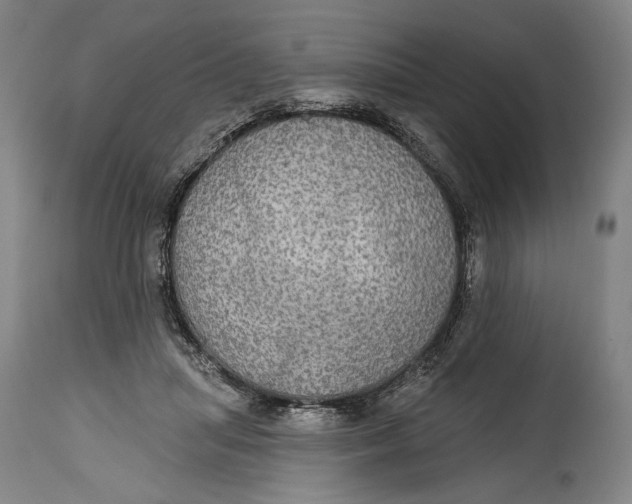 X0000114610455200911101155