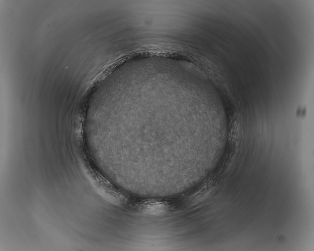 X0000114610456200911101155