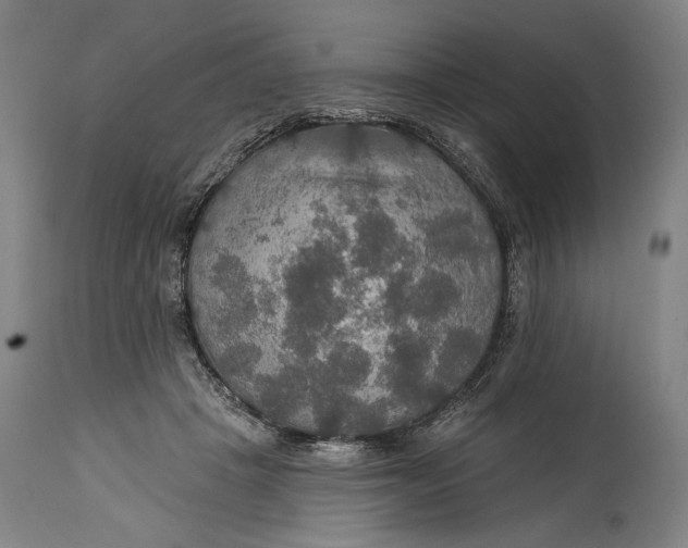 X0000114610457200911101155