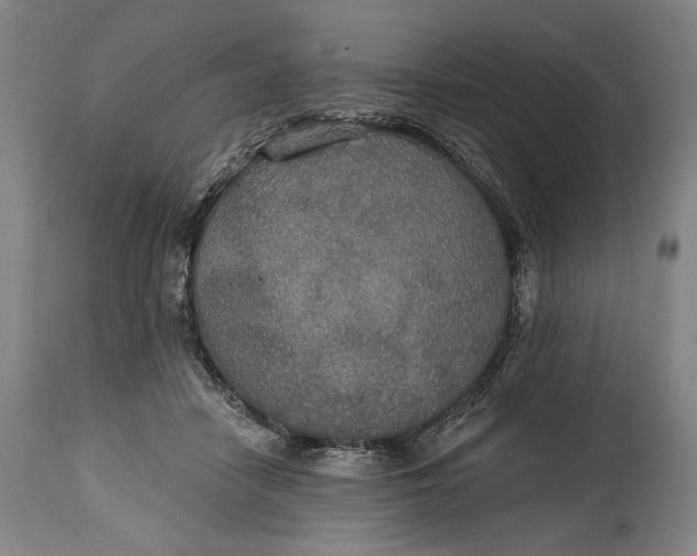 X0000114610458200911101155