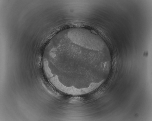 X0000114610459200911101155