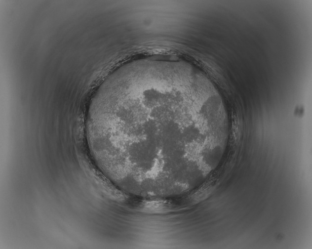 X0000114610461200911101155