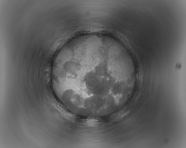 X0000114610462200911101155