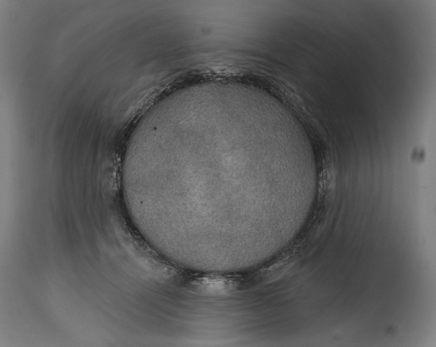 X0000114610464200911101155