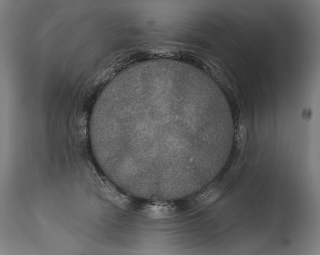 X0000114610466200911101155