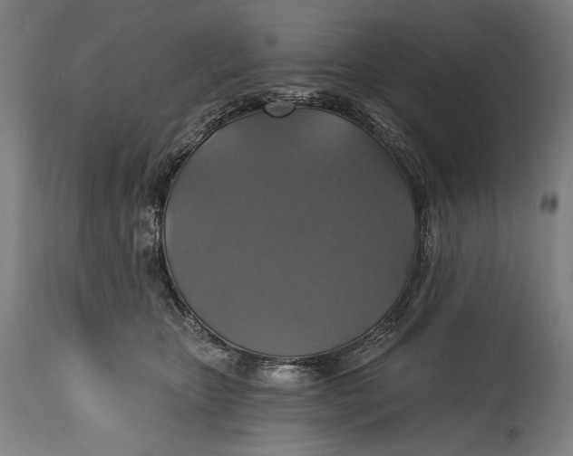 X0000114610467200911101155