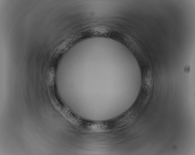 X0000114610468200911101155